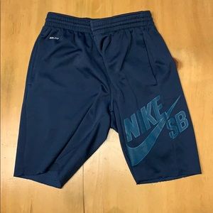 Nike SB Dri-Fit Shorts